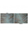Hair scrub - Miriam Quevedo