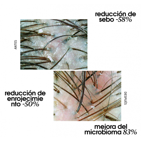 BLACK BACCARA Cellular...