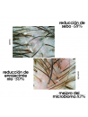 Hair scrub - Miriam Quevedo