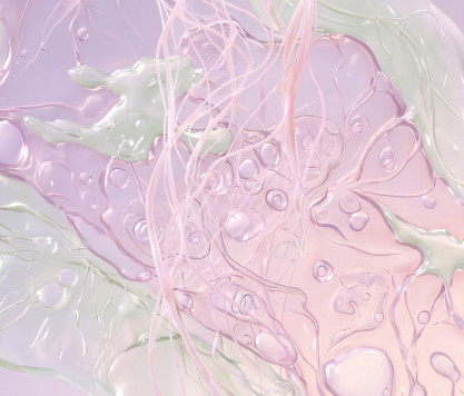 B-Catenin Follicle Awakening Exosomes