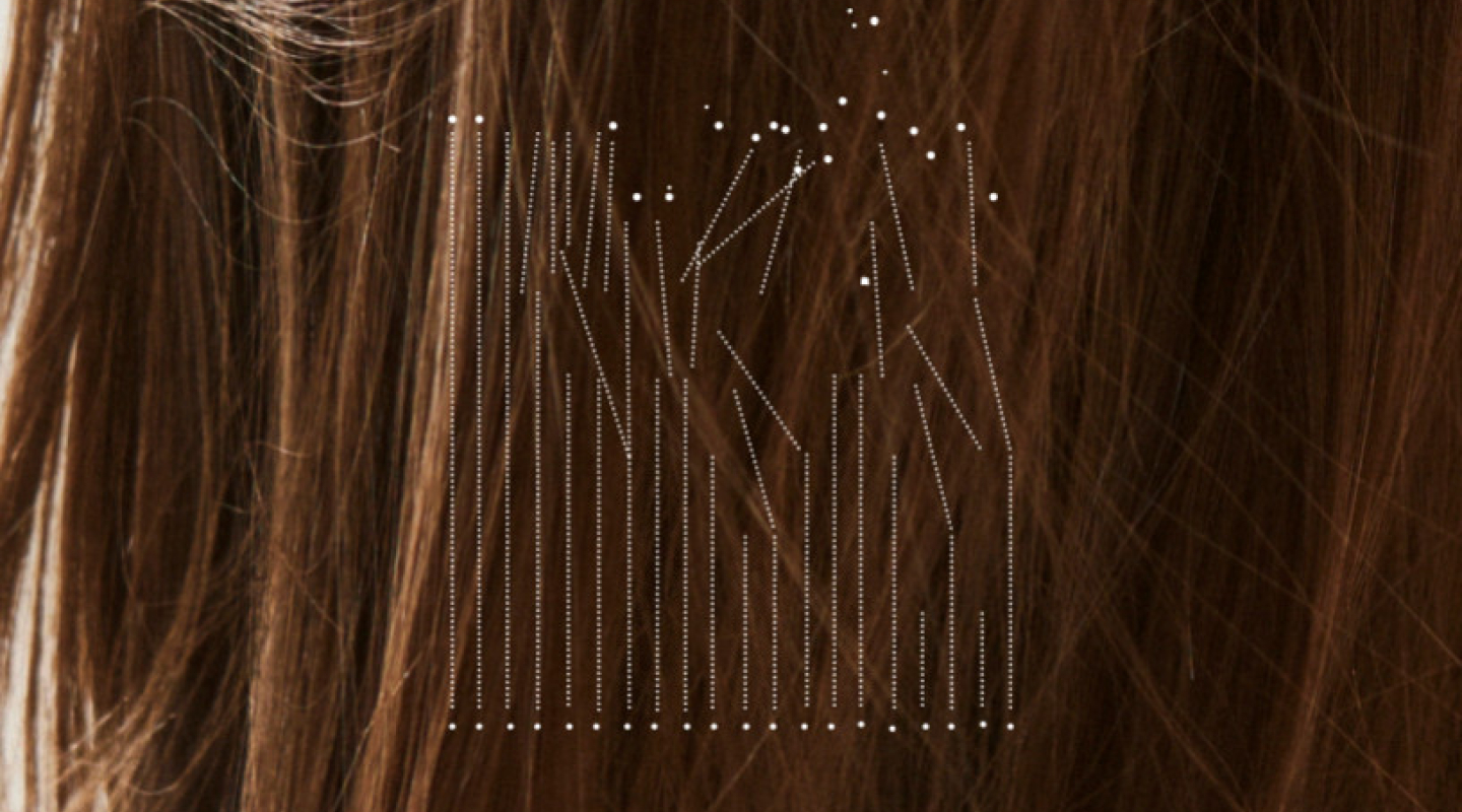 ¿Cuáles son las partes del cabello?