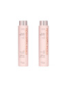 Black Baccara Regenerating Duo