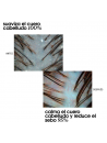 BLACK BACCARA HAIR MULTIPLYING RENEWAL SCALP PEELING
